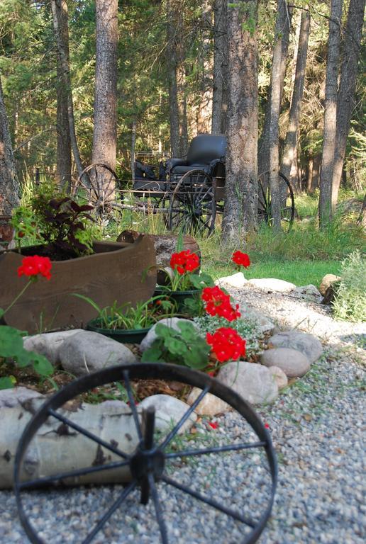 Kicking Horse Canyon Guest House 戈尔登 外观 照片