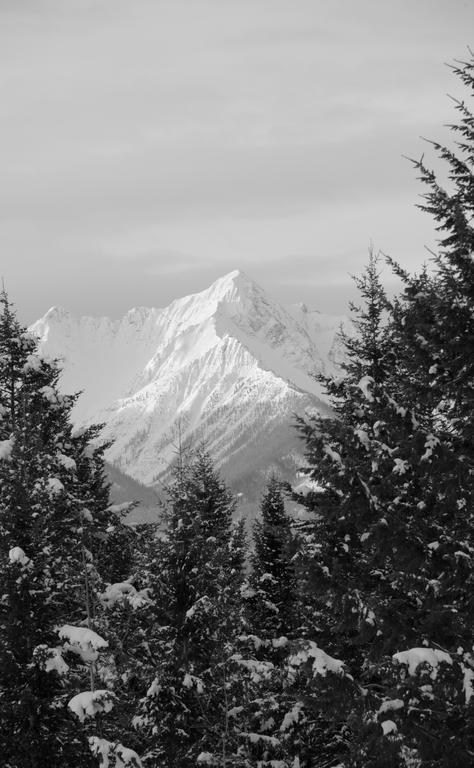 Kicking Horse Canyon Guest House 戈尔登 外观 照片