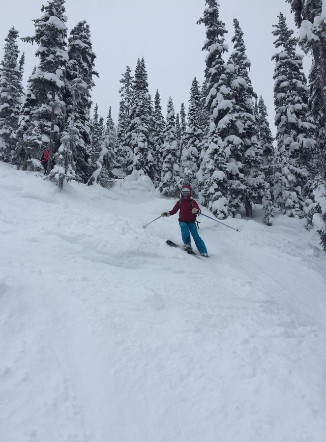 Kicking Horse Canyon Guest House 戈尔登 外观 照片