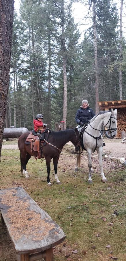 Kicking Horse Canyon Guest House 戈尔登 外观 照片