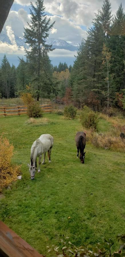 Kicking Horse Canyon Guest House 戈尔登 外观 照片